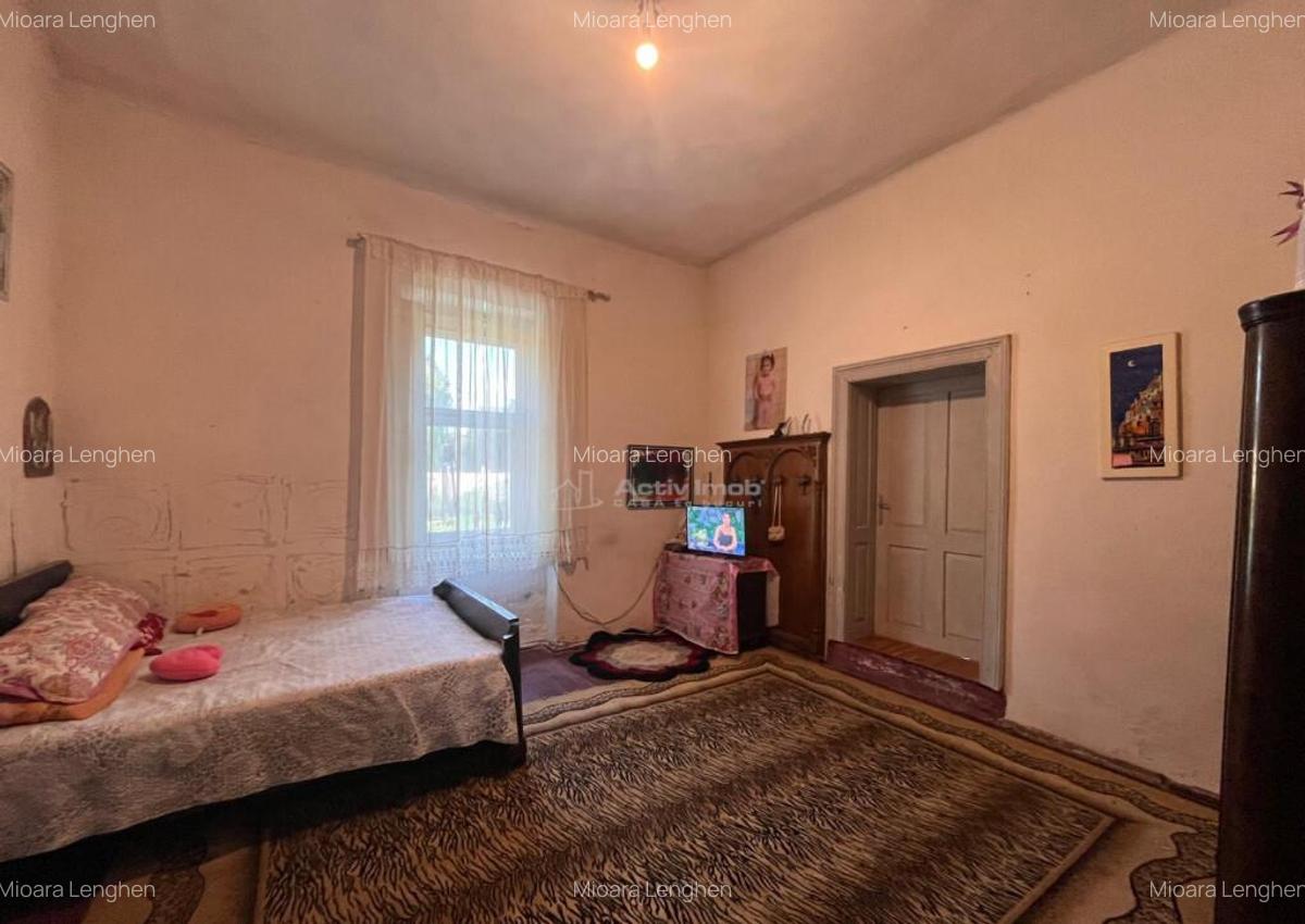 Sacu, Casa 426 Mp. Construiti, 6.500 Mp. Teren - 18