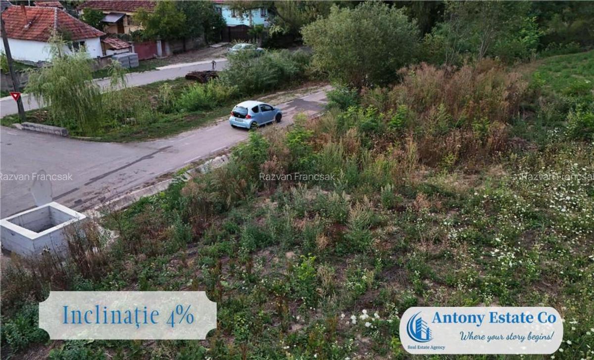 Teren intravilan, de - Balaia, Bihor - 3