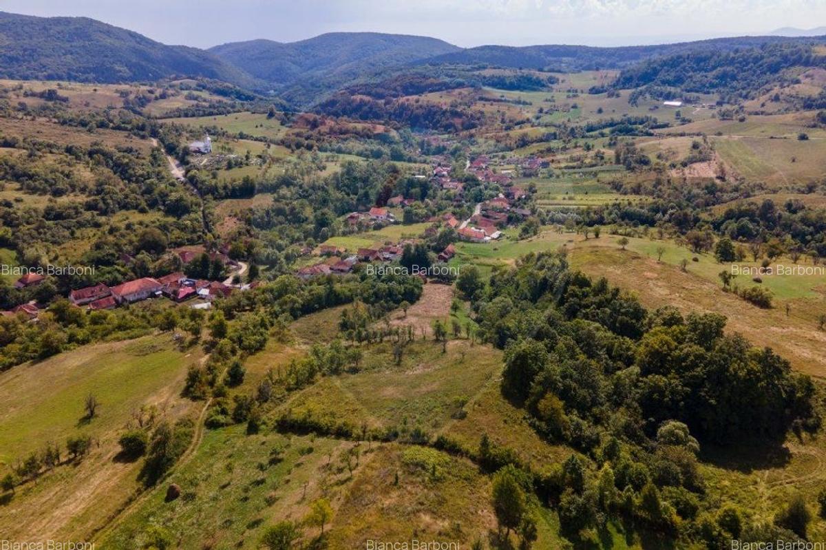Casa veche cu teren ,Varmaga jud Hunedoara - 15