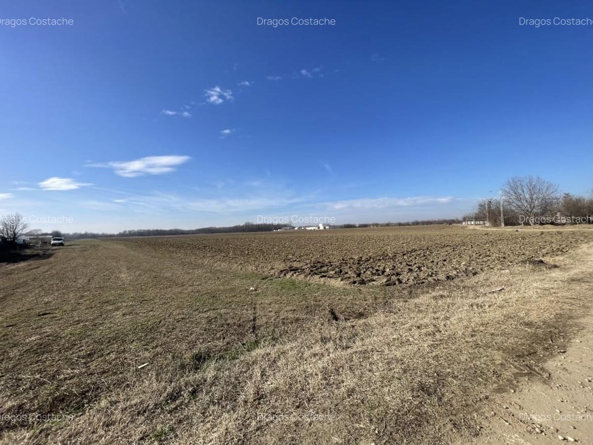 Domnesti, Teghes, teren in suprafata de 21278mp, deschidere 41ml, gaz si curent. - 5