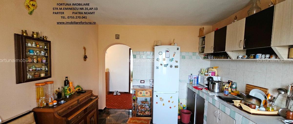 Proprietate Slobozia-Roznov, casa mansardata, teren si livada - 13