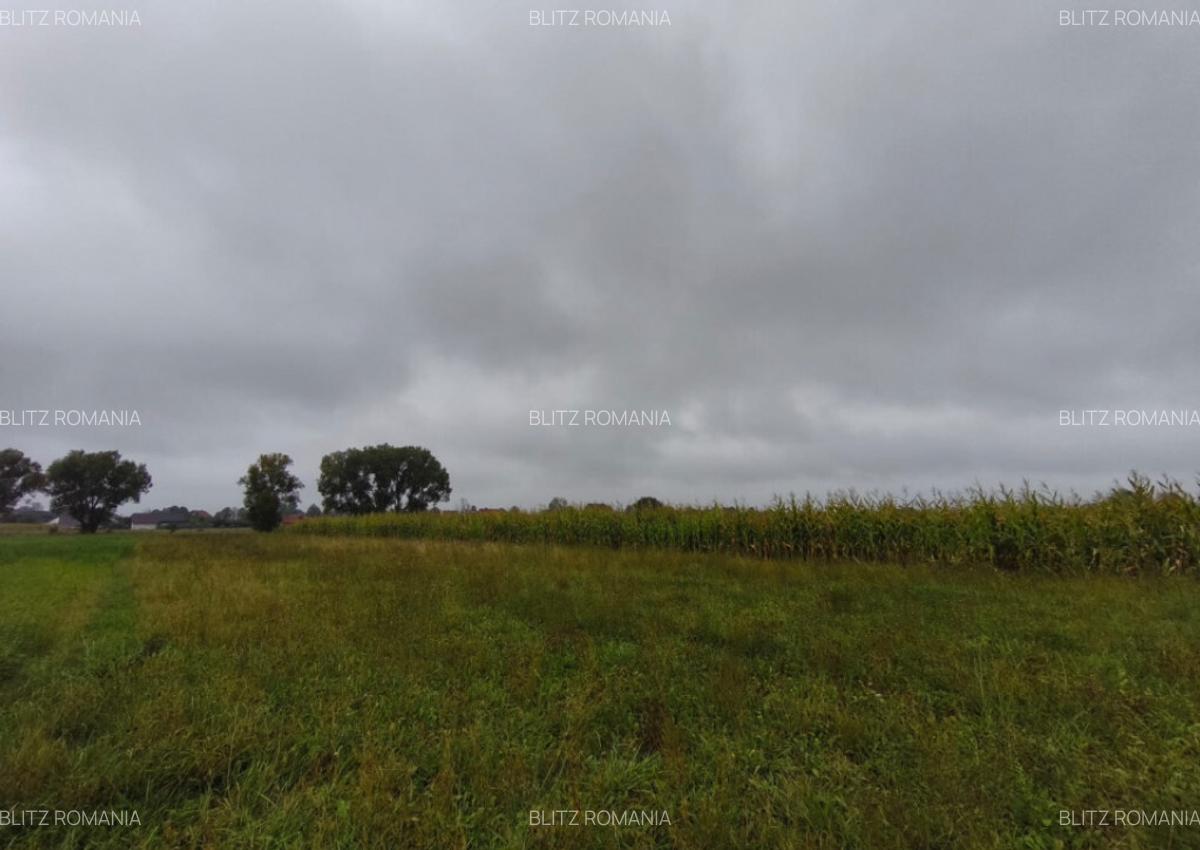 Teren intravilan, 5200mp, front 27ml, Fratautii Vechi, Radau - 1