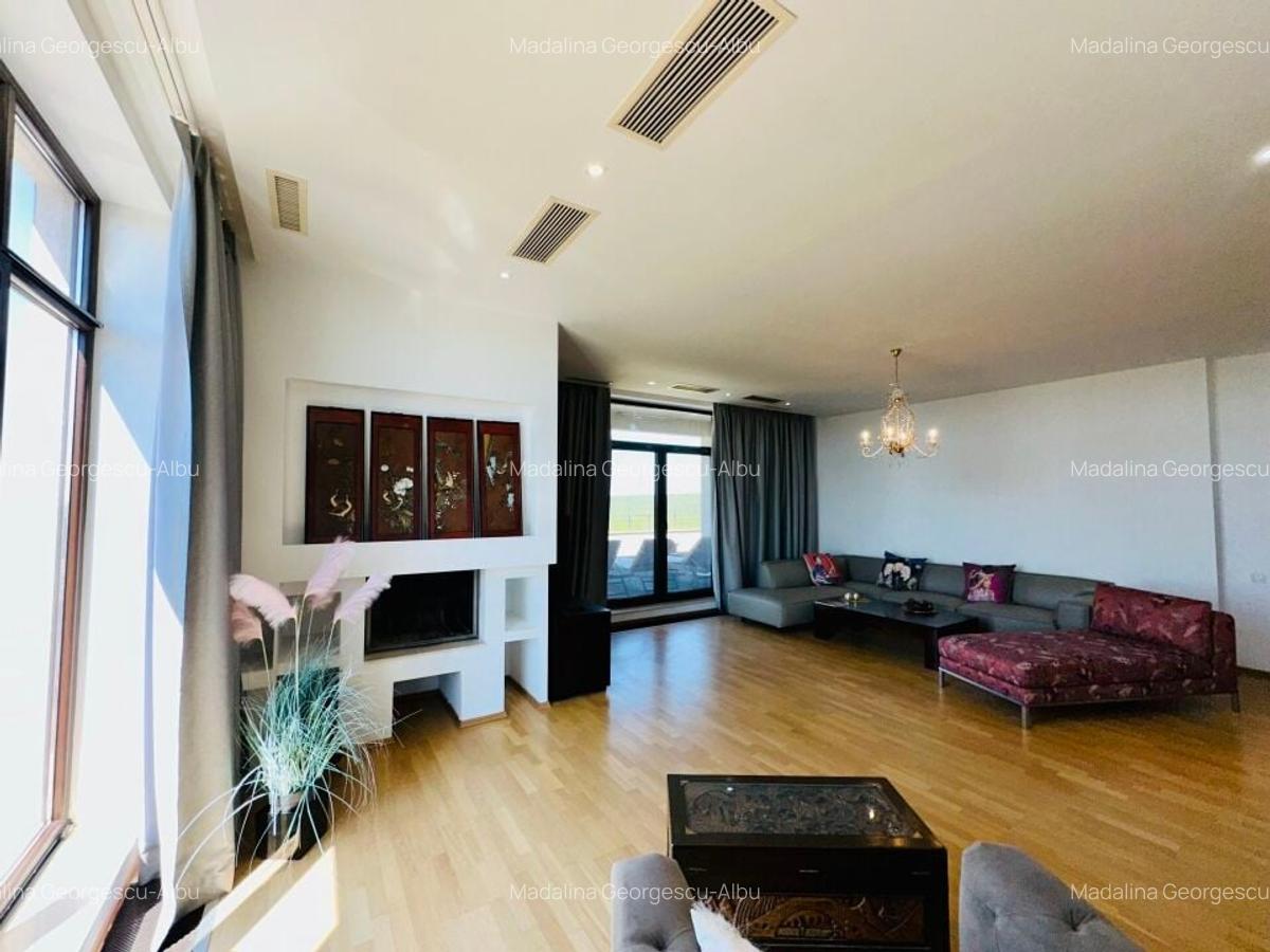 Aleea Privighetorilor- Penthouse 833 mp utili mobilat complet 3600 Euro + TVA - 7