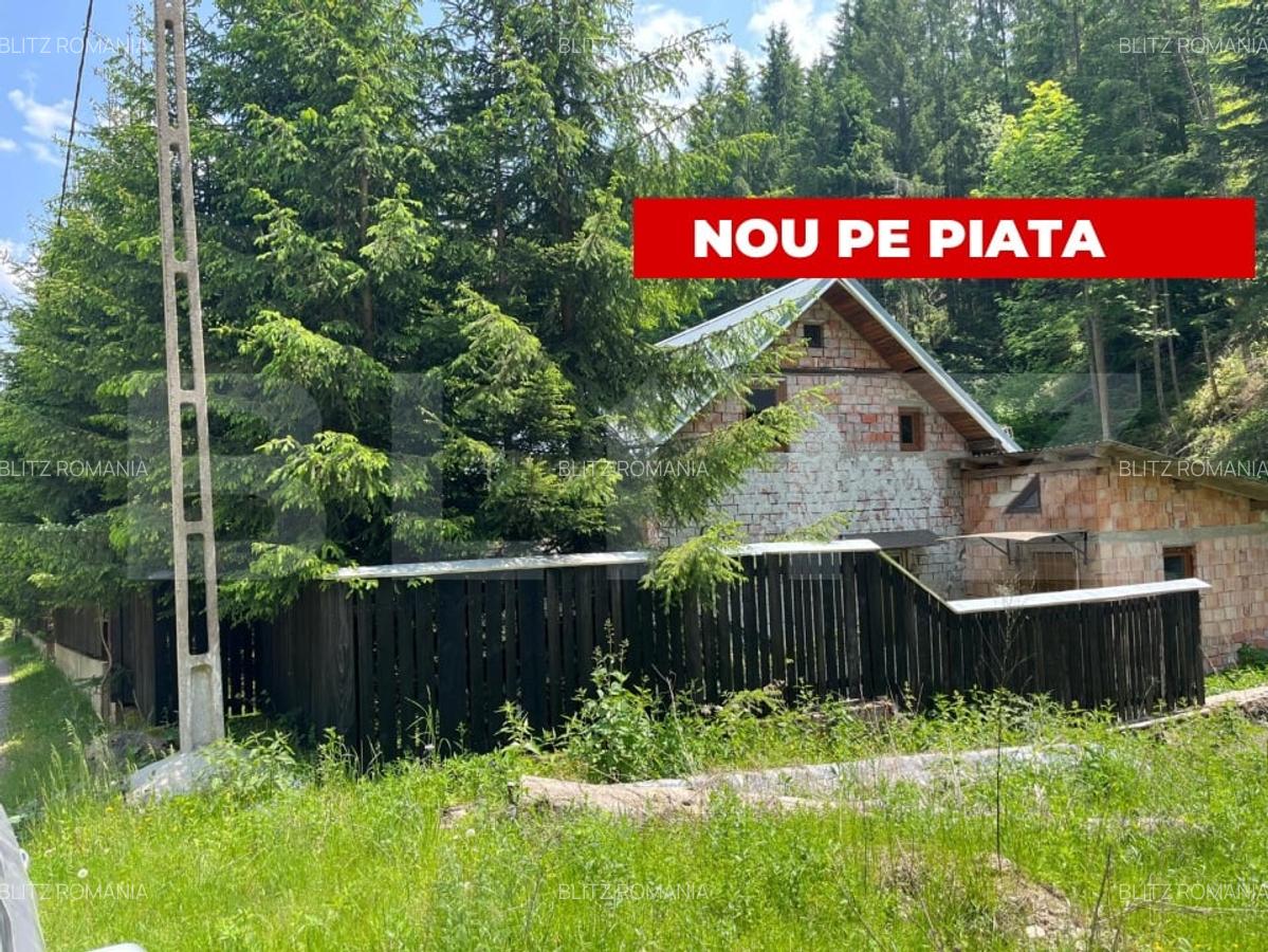 Cabana cu 4 camere, zona Șugag - Tau - Bistra - 1