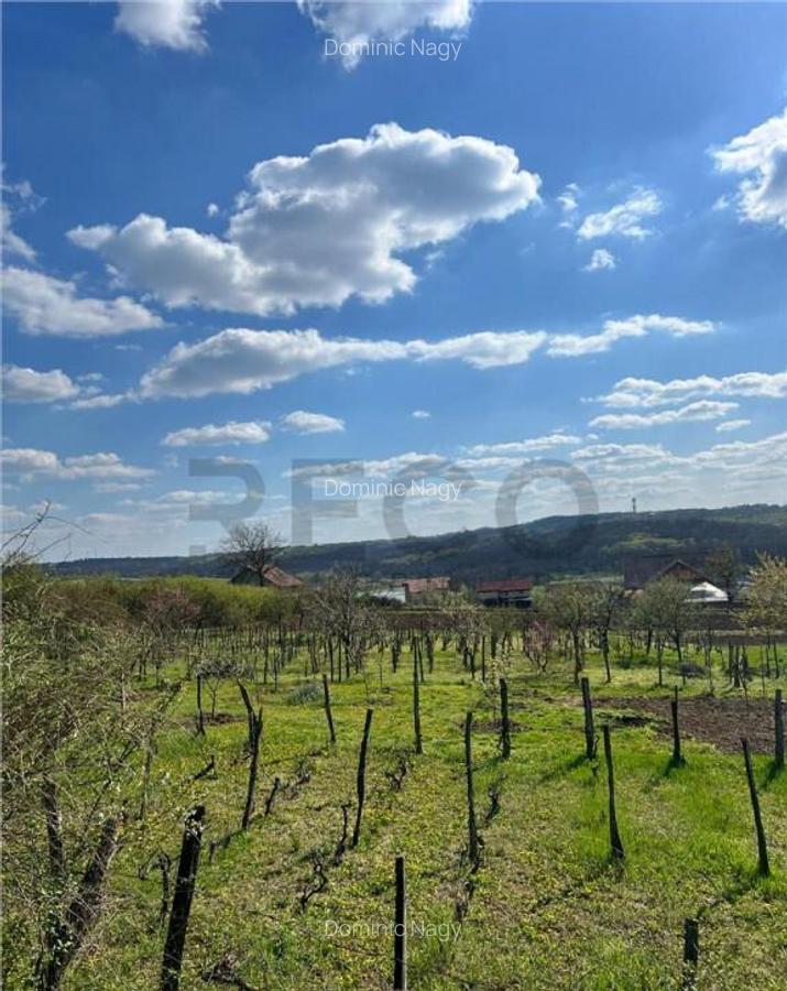 RECO teren de in zona Paleu - 2