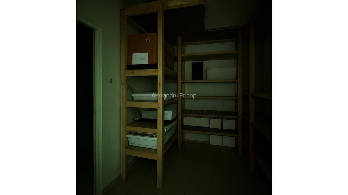 REC3001181 Spatiu Comercial Centrul Istoric - 6