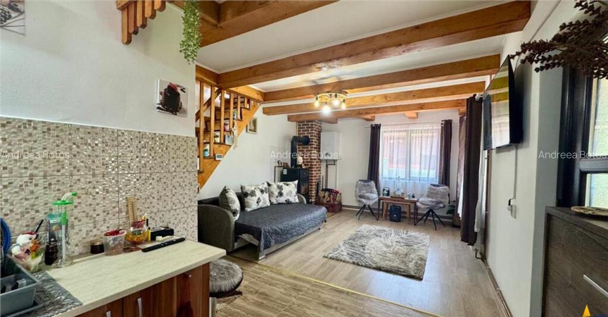 FILM3D!Cocheta casuta, mobilata, accesorizata, garaj, gradin - 10