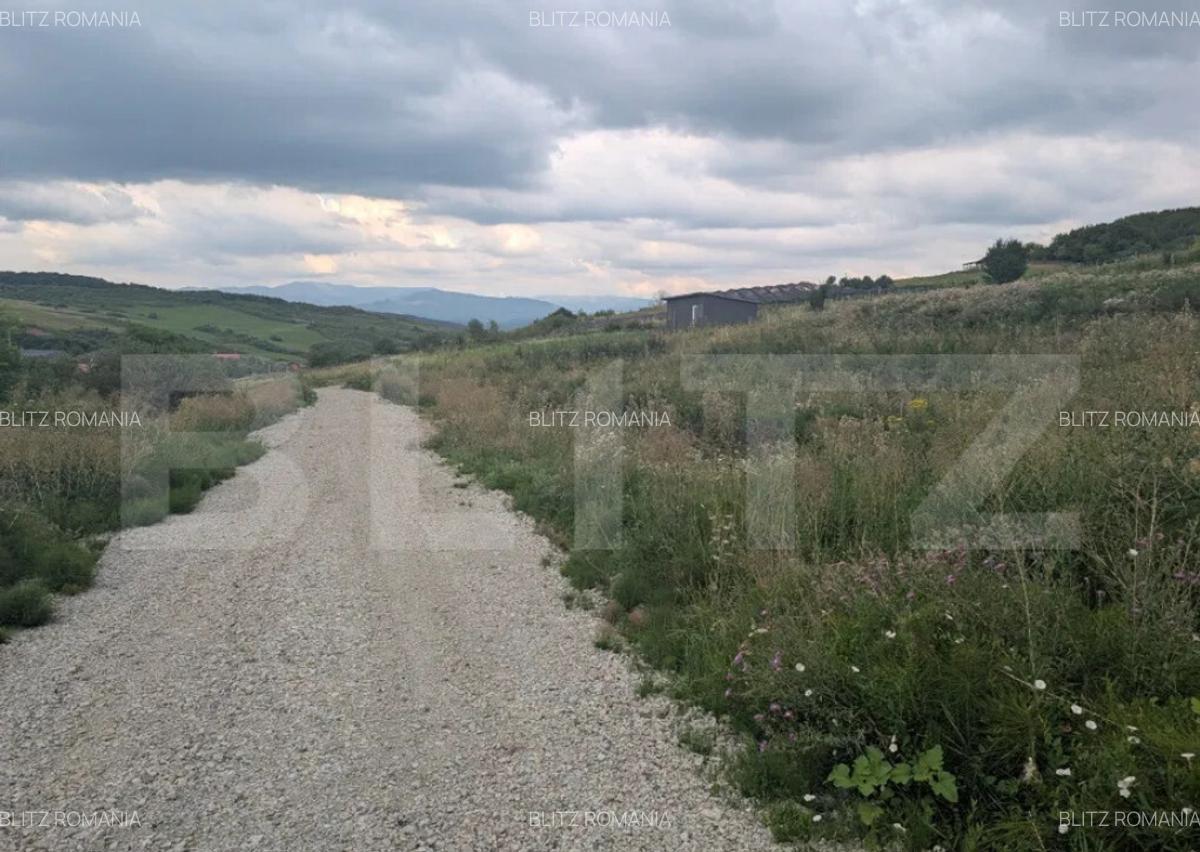 Teren construibil de vanzare, 500 mp sau 1000 mp, Dealu Jel - 4