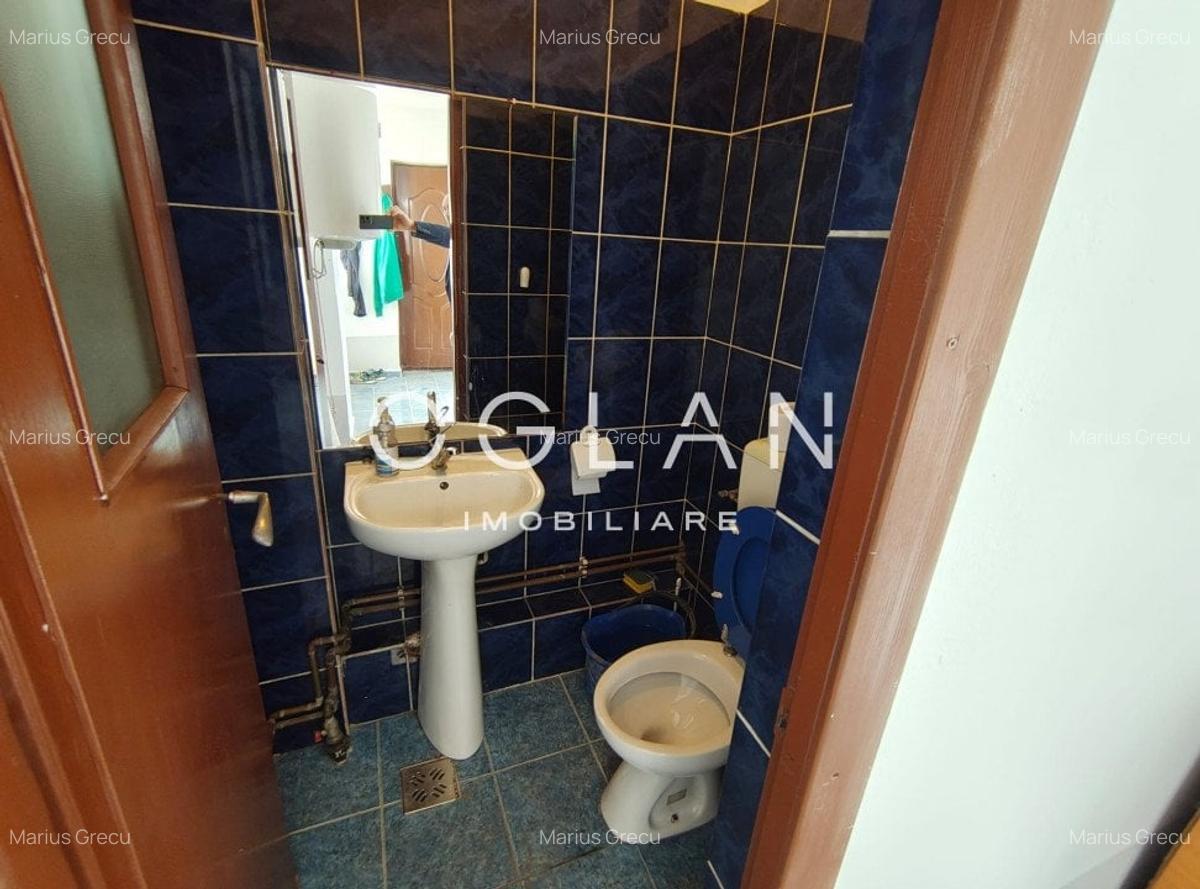 Spatiu comercial 450 mp (P+E)- zona Terezian - 11