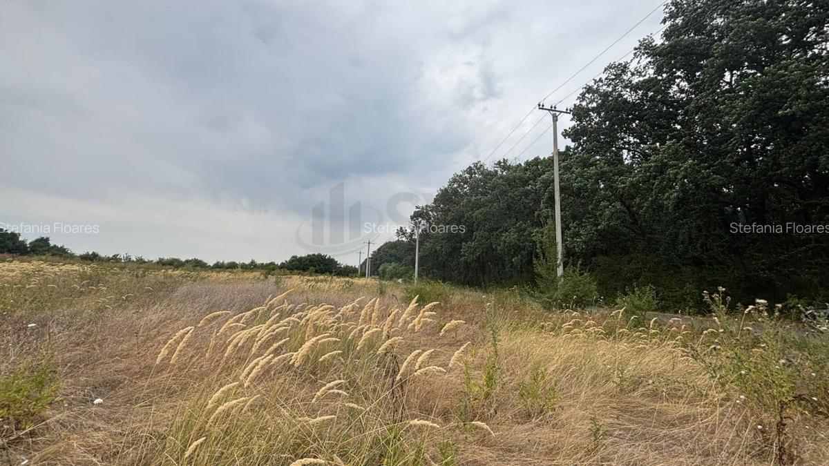 REL4001187 Teren de vanzare 3500 mp la padurea Petresti - 2