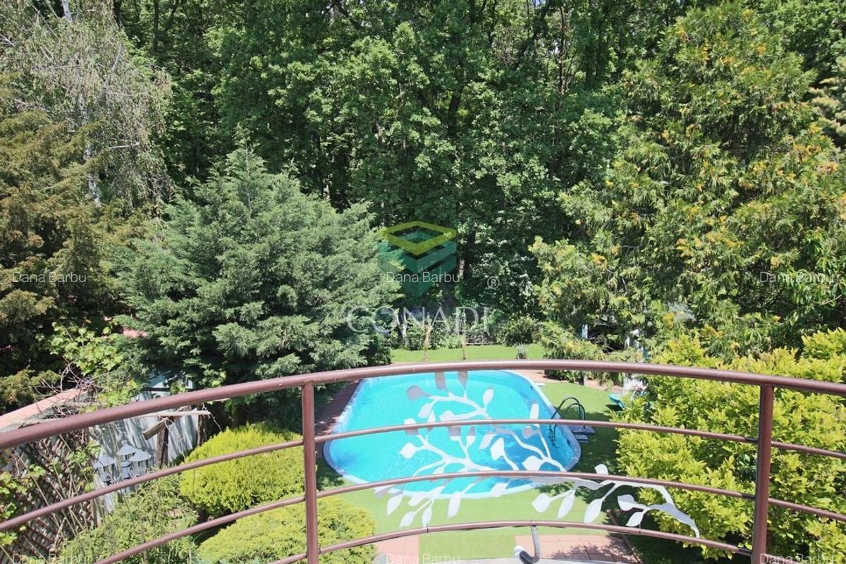 Exclusivitate / Iancu Nicolae-Pipera, vila cu piscina, langa padure - 4