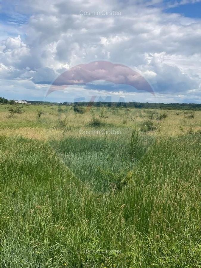 DE VANZARE Teren 5,000mp Sisesti Drumul Piscul Mosului - 11