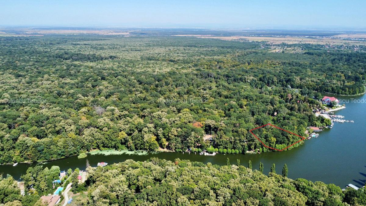 Teren 4800mp | Padurea Snagov | Deschidere larga la Lacul Snagov | Investitie - 7