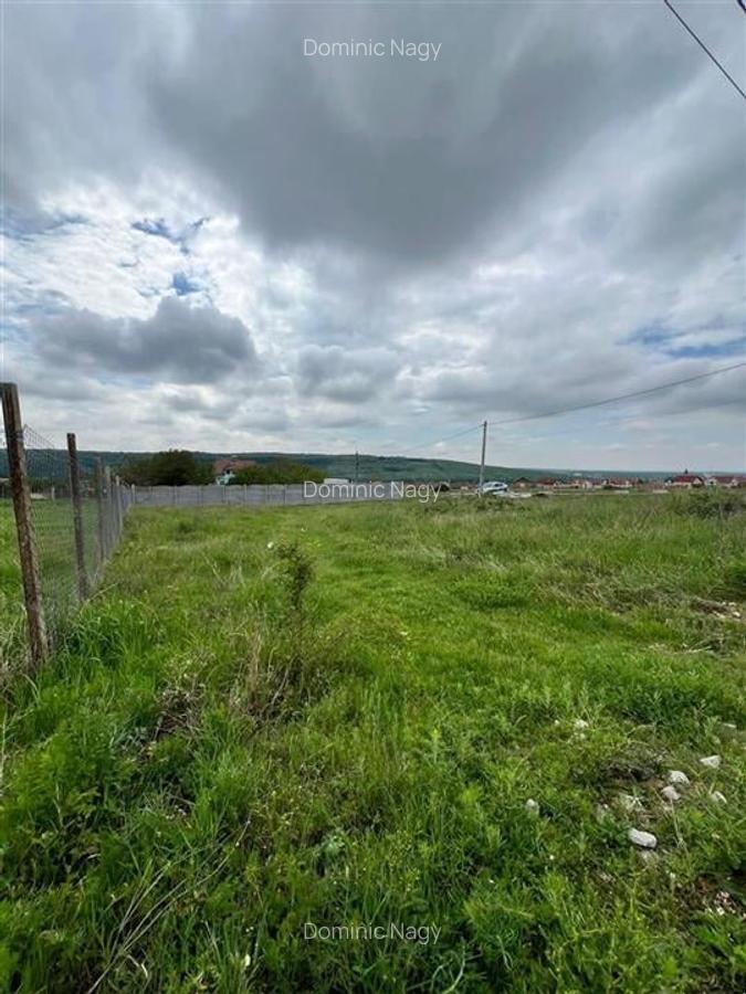 Teren Construcții intravilan de 500 mp, în Betfia - 1