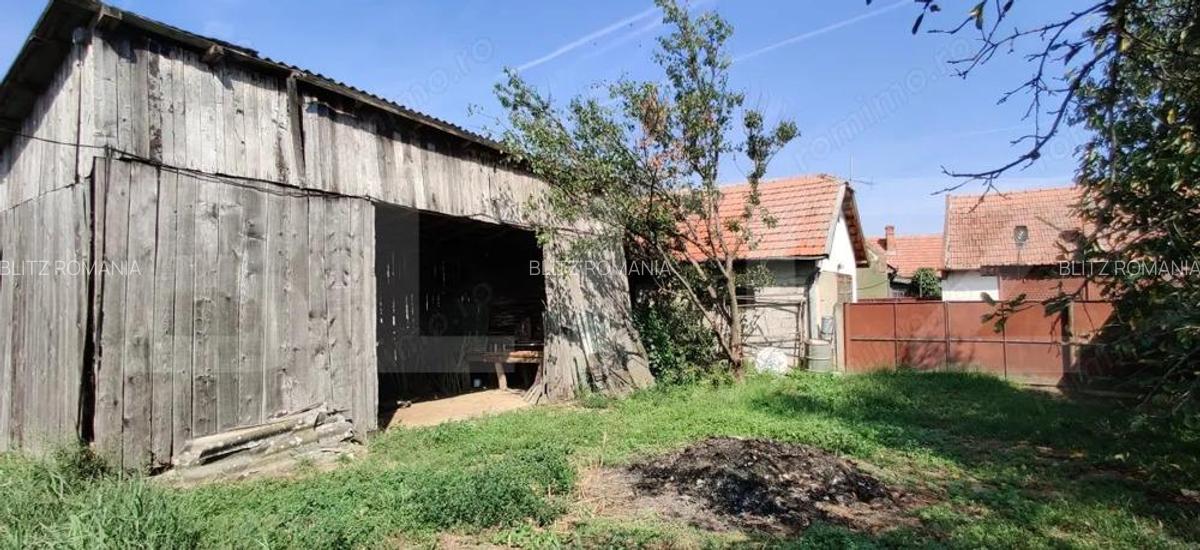 Casa mare cu gospodarie completa Belin?, jude?ul Timi? teren 4.900 mp - 13