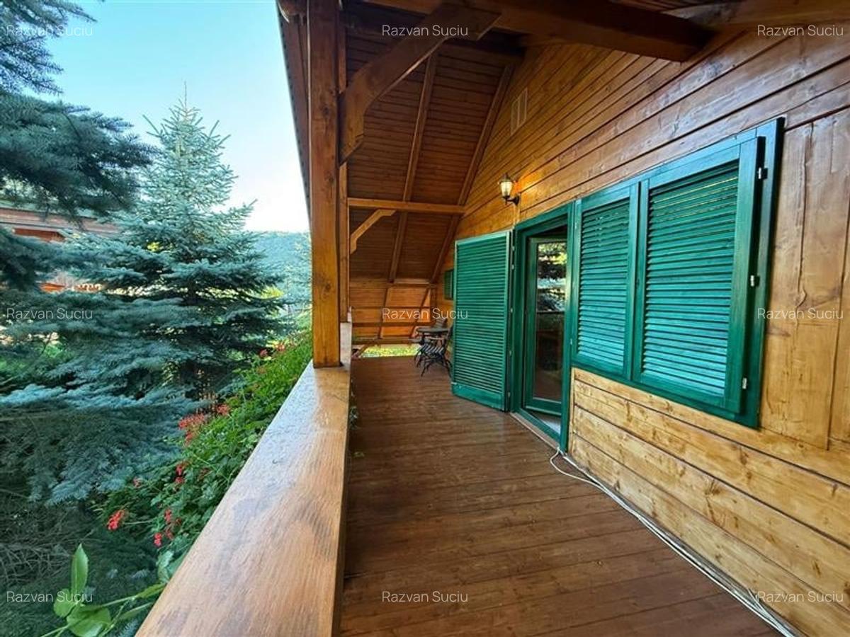 Cabana - Casa de vacanta situata in Muntele Rece! - 22