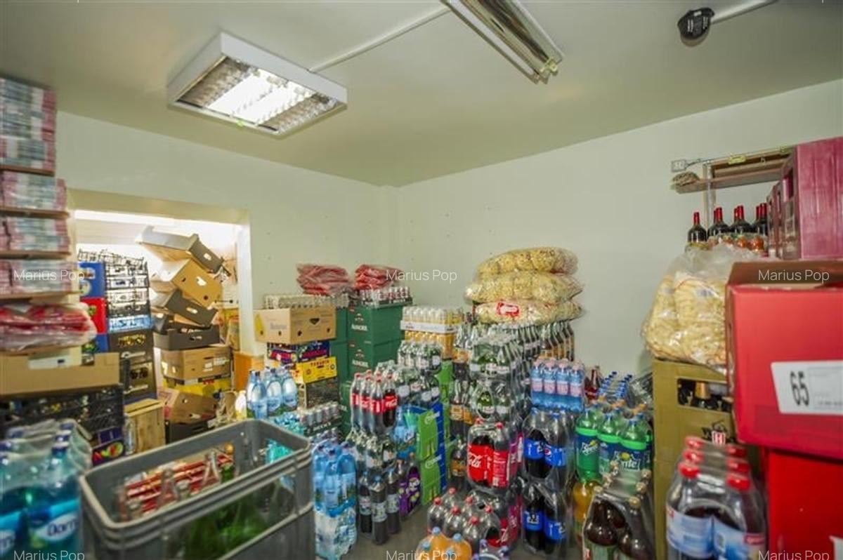 Spațiu comercial, 101 mp în Noua - 6