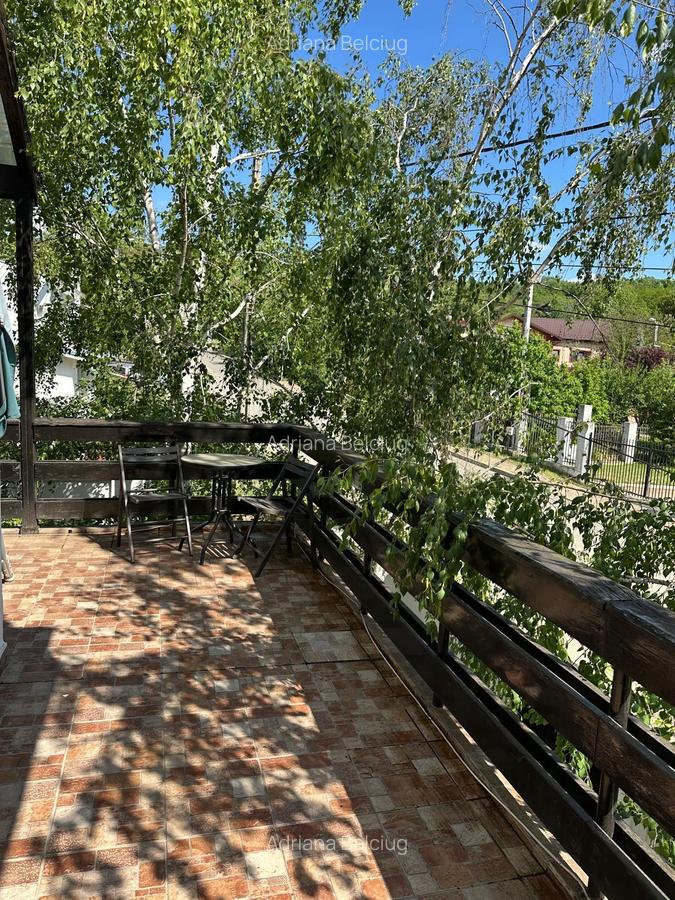 Vila Bucium cod 158289 - 4