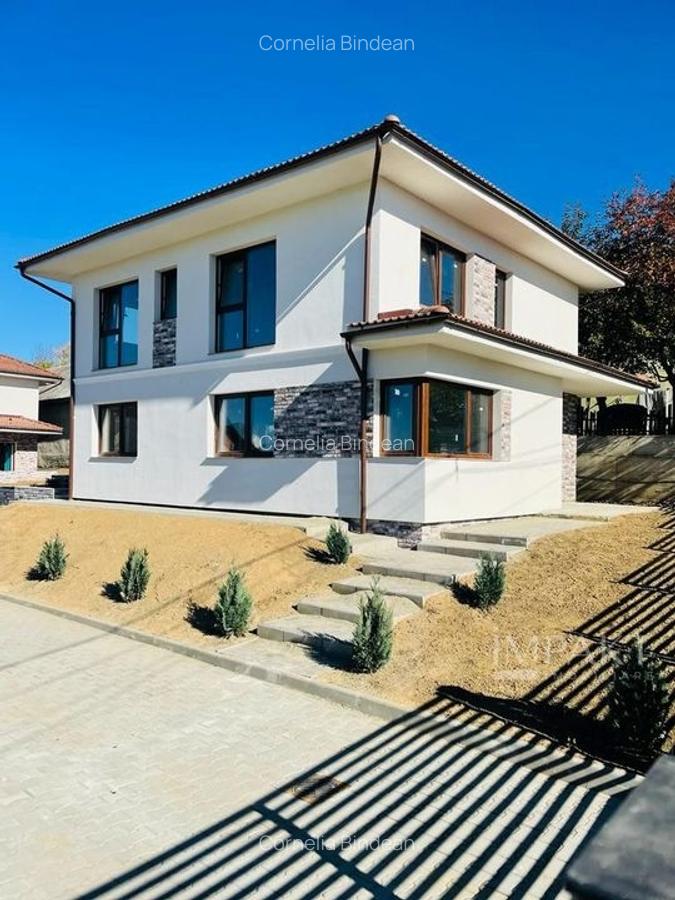 Ansamblu de 3 case la vanzare  in Chinteni! - 1