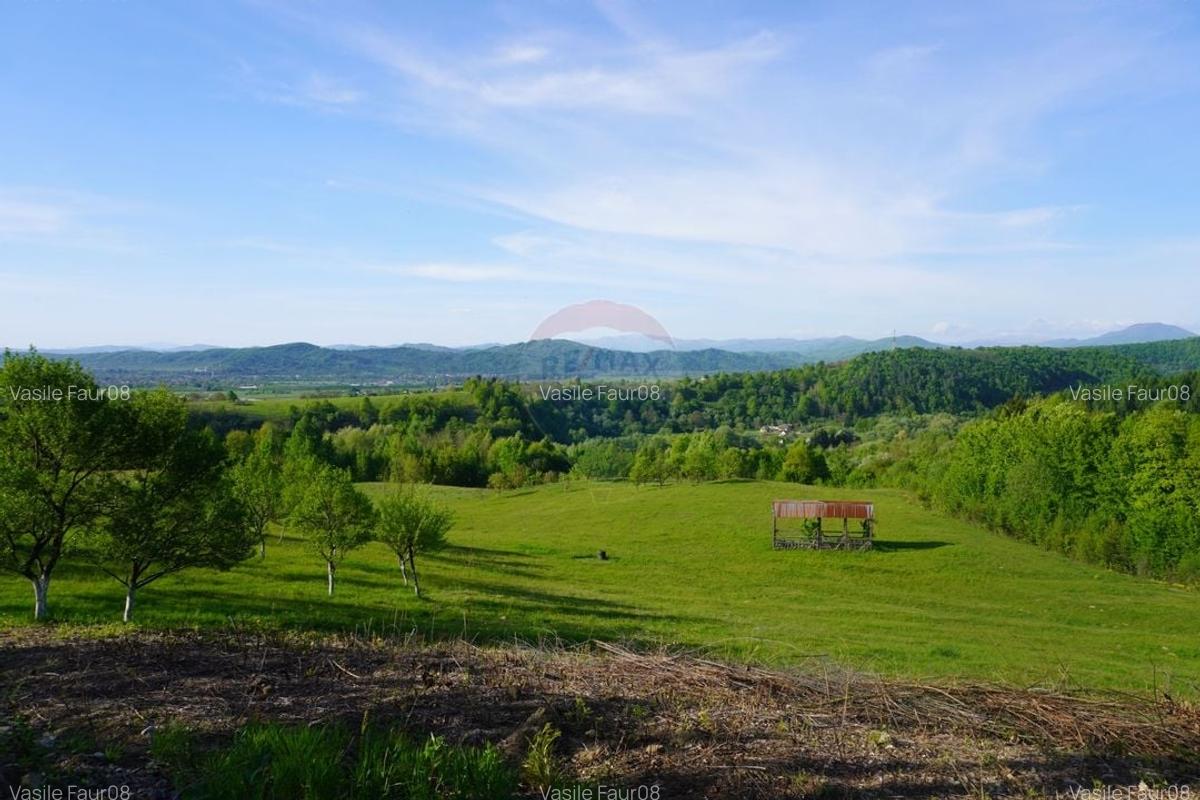 Teren 15,000mp Sighetu Marmatiei / Strada Mocanitei - 2