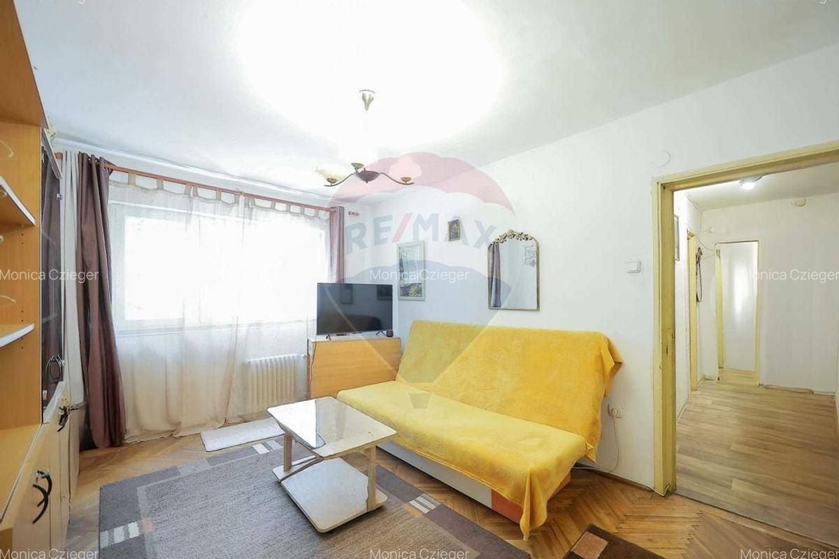 Apartament cu 3 camere semidecomandat, mobilat în Nufărul - 13