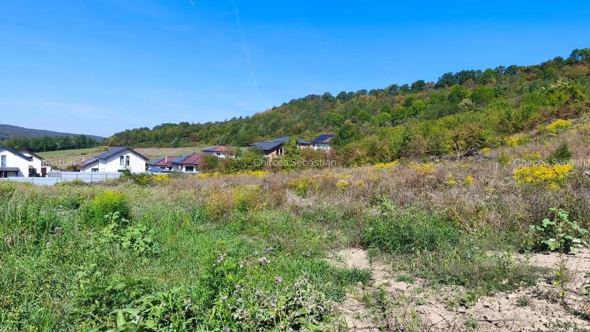 Corunca - 650 mp cu PUZ - zona superba si linistita - 2