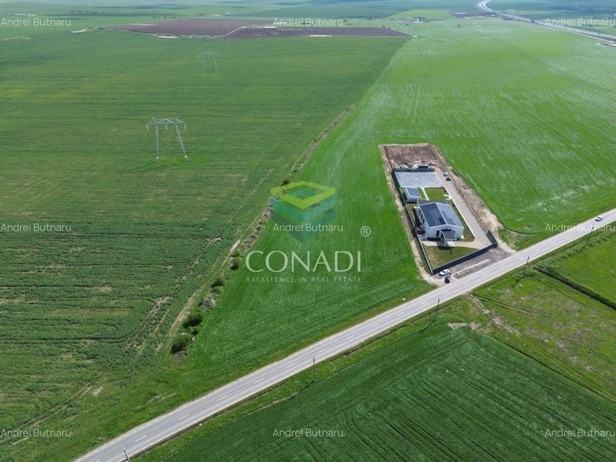 Teren pretabil pentru industrial - Cernica - 1 Ha - 2