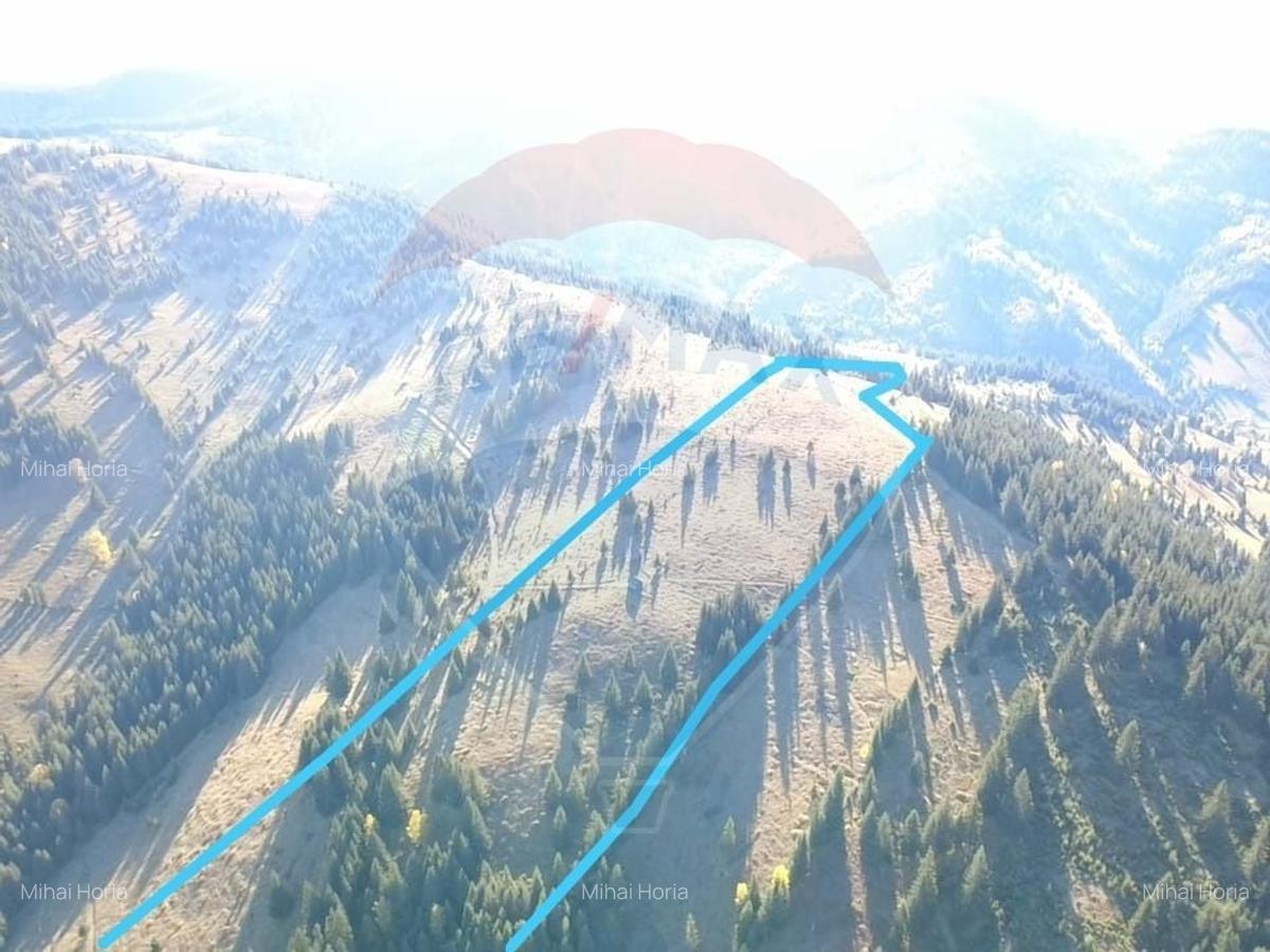 Teren 47,732mp Panaci / Strada MIhailet - 4