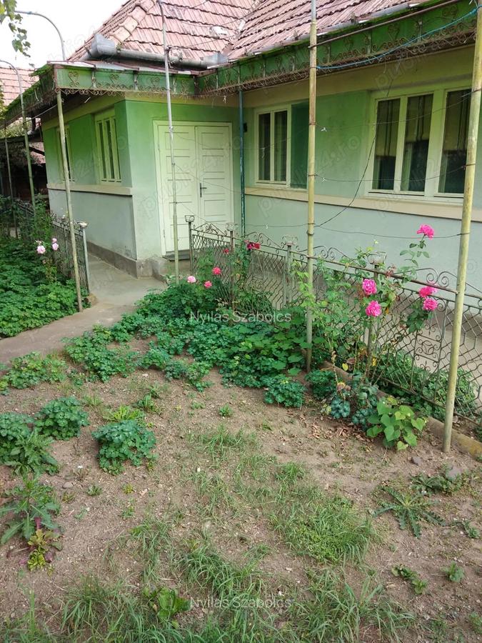 Casa cu 3 camere ?i gradina - 2