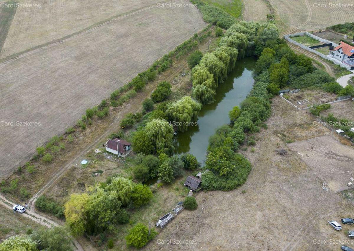 Teren de 7900 mp cu balta de pescuit in Frumu?eni - 13