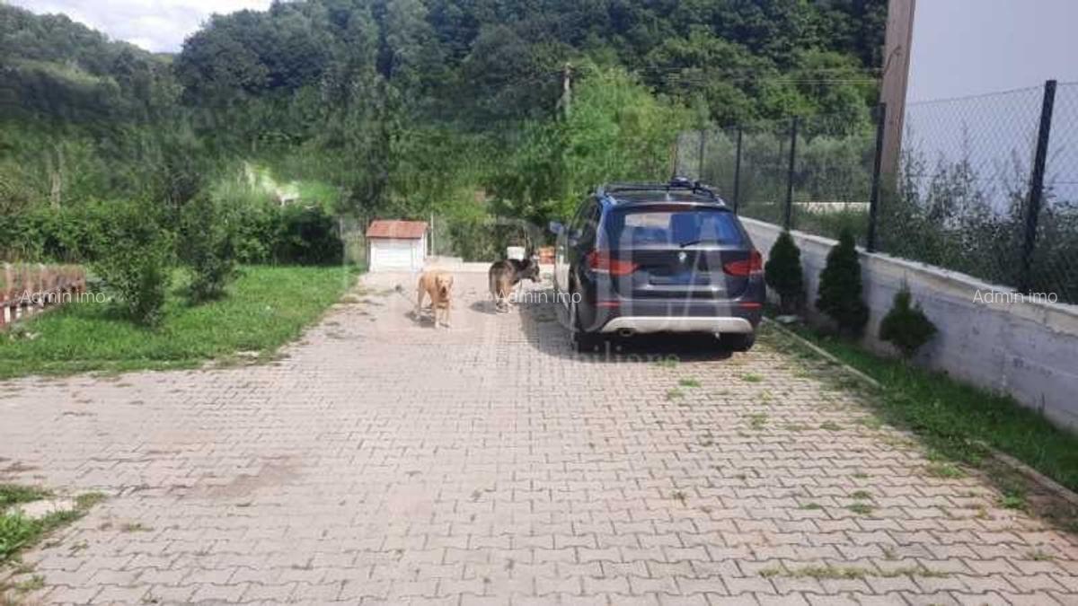 Casa 4 camere de vanzare in Salicea - 7