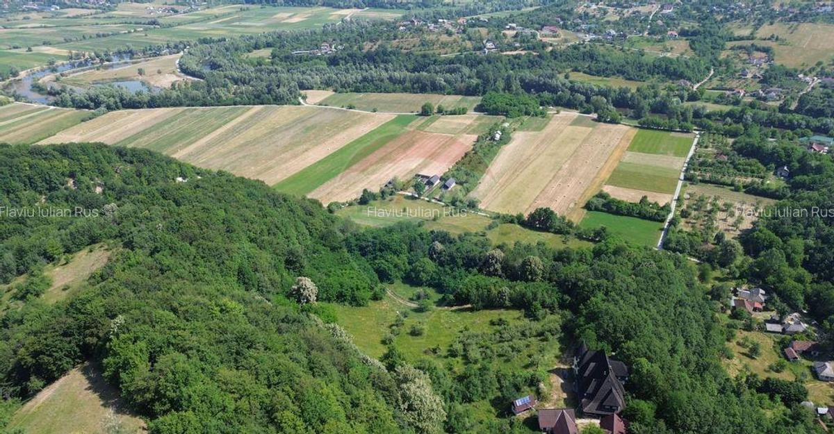 DE VANZARE CASTEL IN MARAMURES - 5