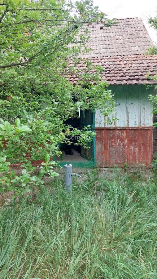 Vand casa cu teren Socodor , jud.Arad - 3