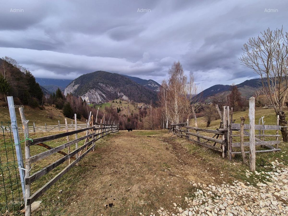 Teren cu energie speciala, Pestera/ 13570mp extravilan/Comision 0 % - 9