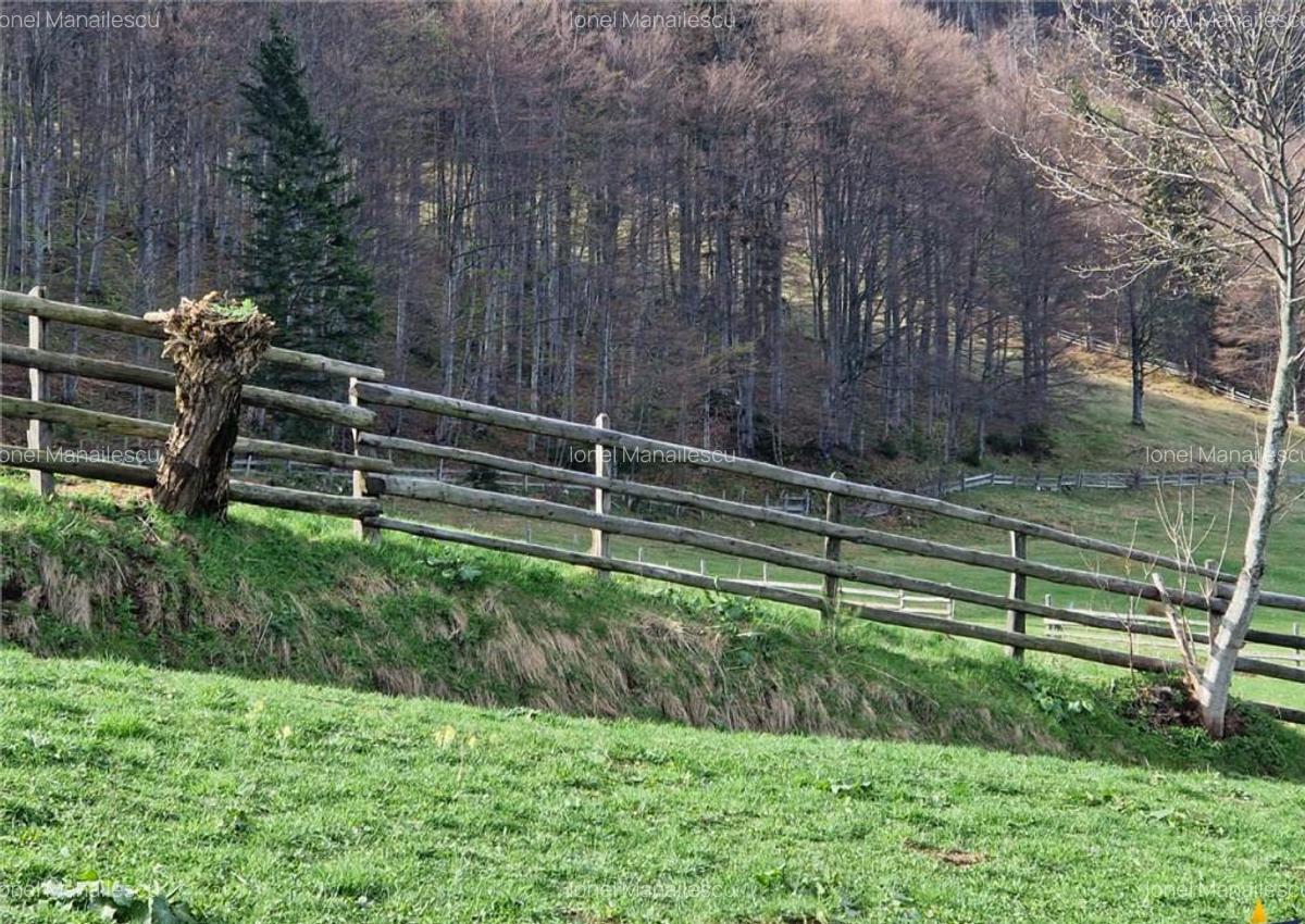 7.000 mp, pozitie spectaculoasa, fara vecini, Fundatica, Bra - 2