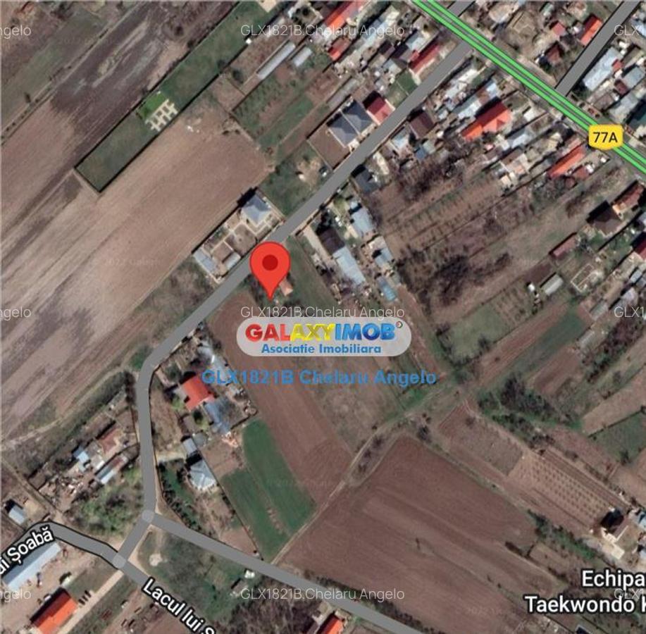 Buftea-Samurcasi, Teren 1560 mp,dubla deschidere 13.5 ml, co - 1