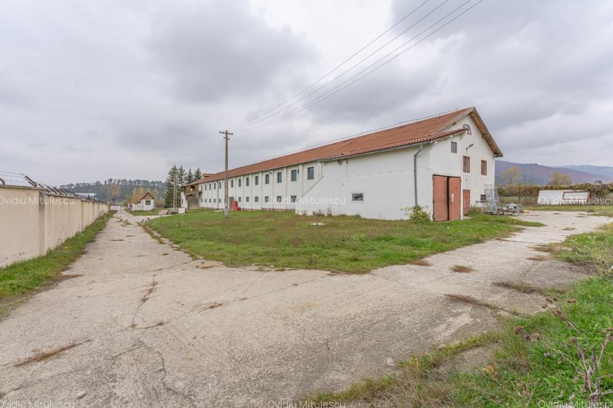 Hala de depozitare si productie - Teliu, Jud. Brasov - 16