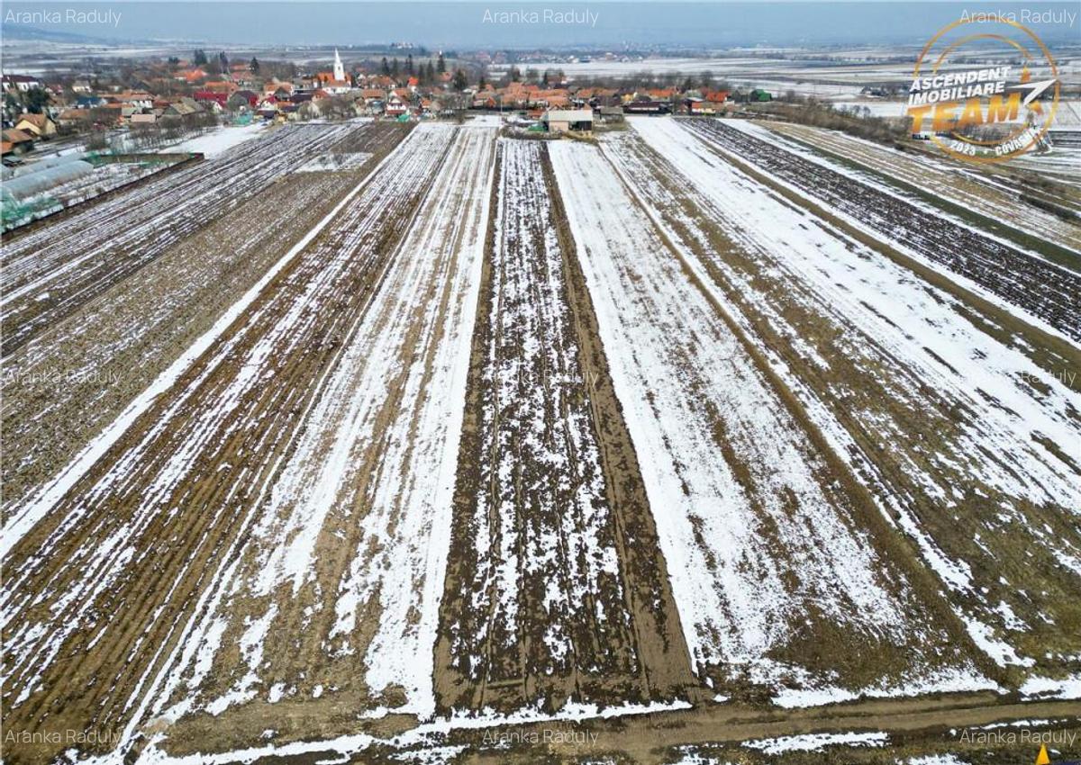 Suprafata intravilan 6.425 mp, oportunitate platforme rezide - 19