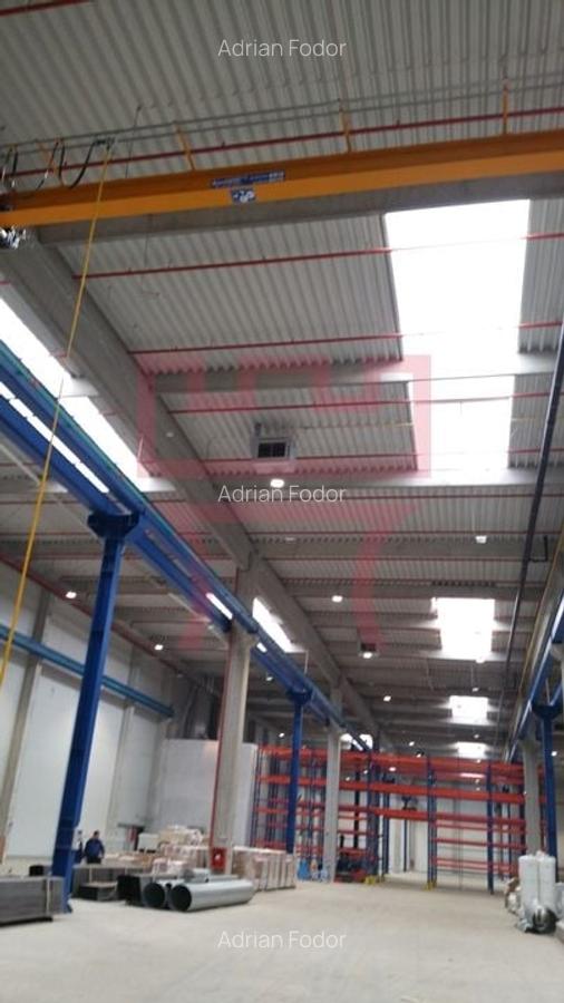 Module de hala noi cu rampa, platforma betonata,  spatii birouri - 10