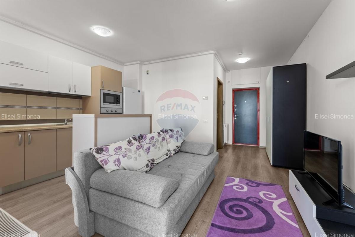 Apartament cu 2 camere de inchiriat in zona Micalaca - 7