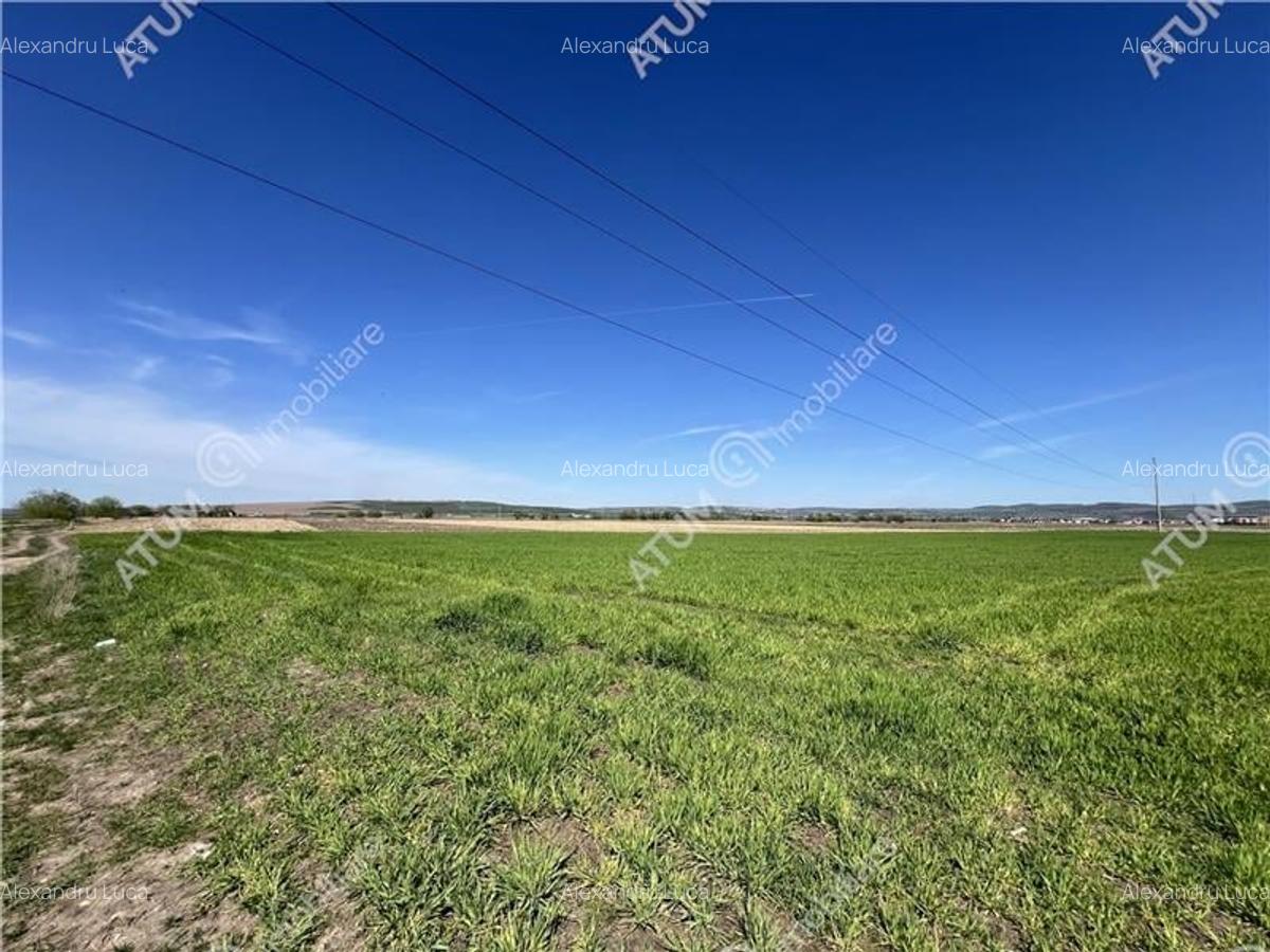 Teren intravilan in Sibiu  3300 mp situat in zona Calea Surii Mici - 6