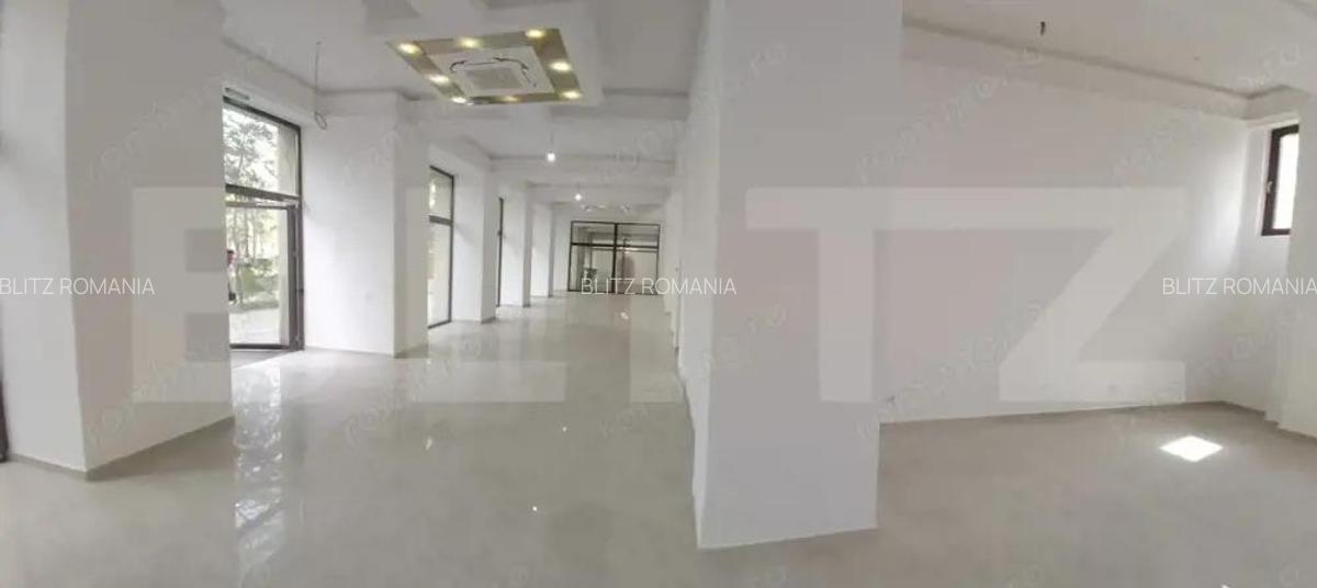 Spatiu comercial stradal, 230 mp, vad pietonal, zona Unirii - 12