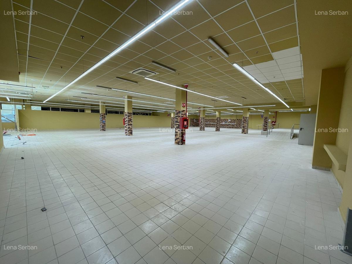 Spațiu comercial, 313.77 mp în Ultracentral - 4