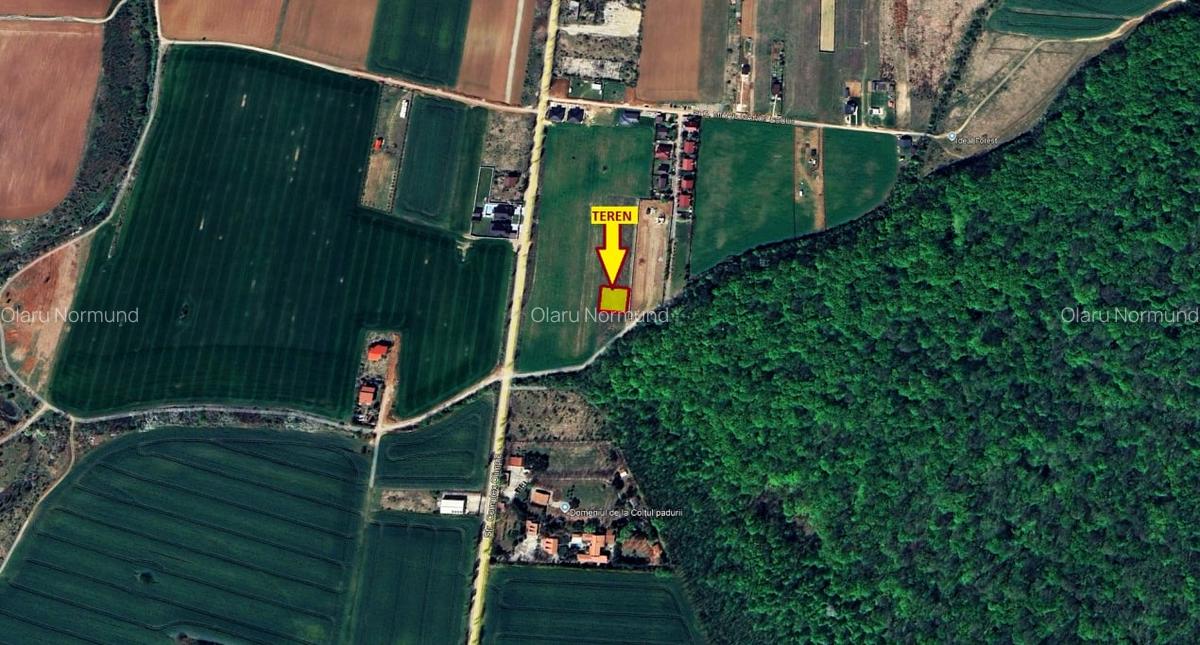 TEREN 500mp | langa Padurea Snagov | IZVORANI | LOCATIE DE VIS - 1