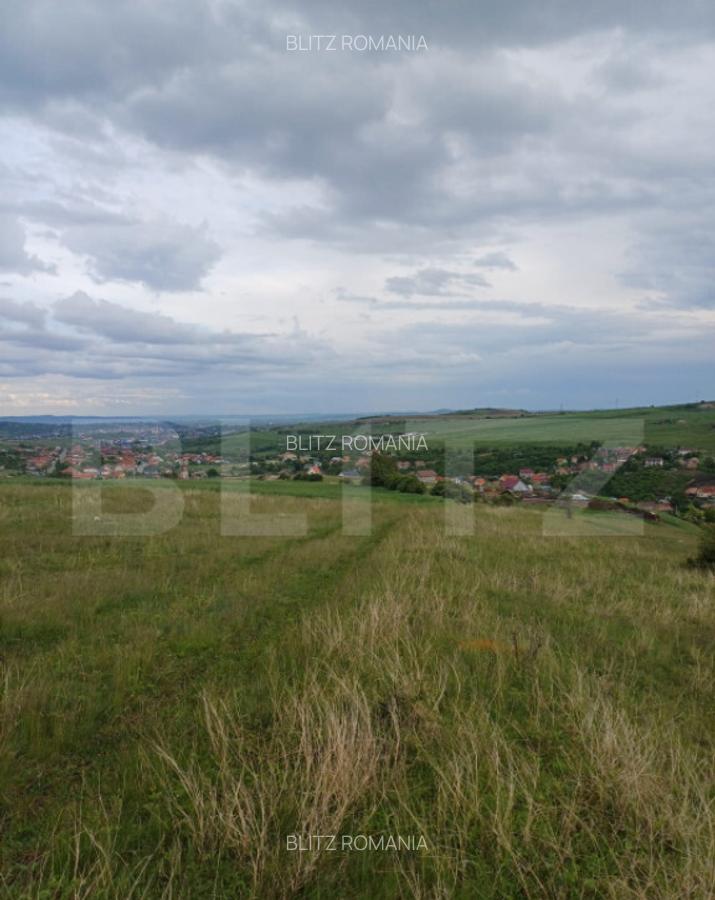 Teren extravilan 1249 mp in Copaceni! Oportunitate investiti - 5