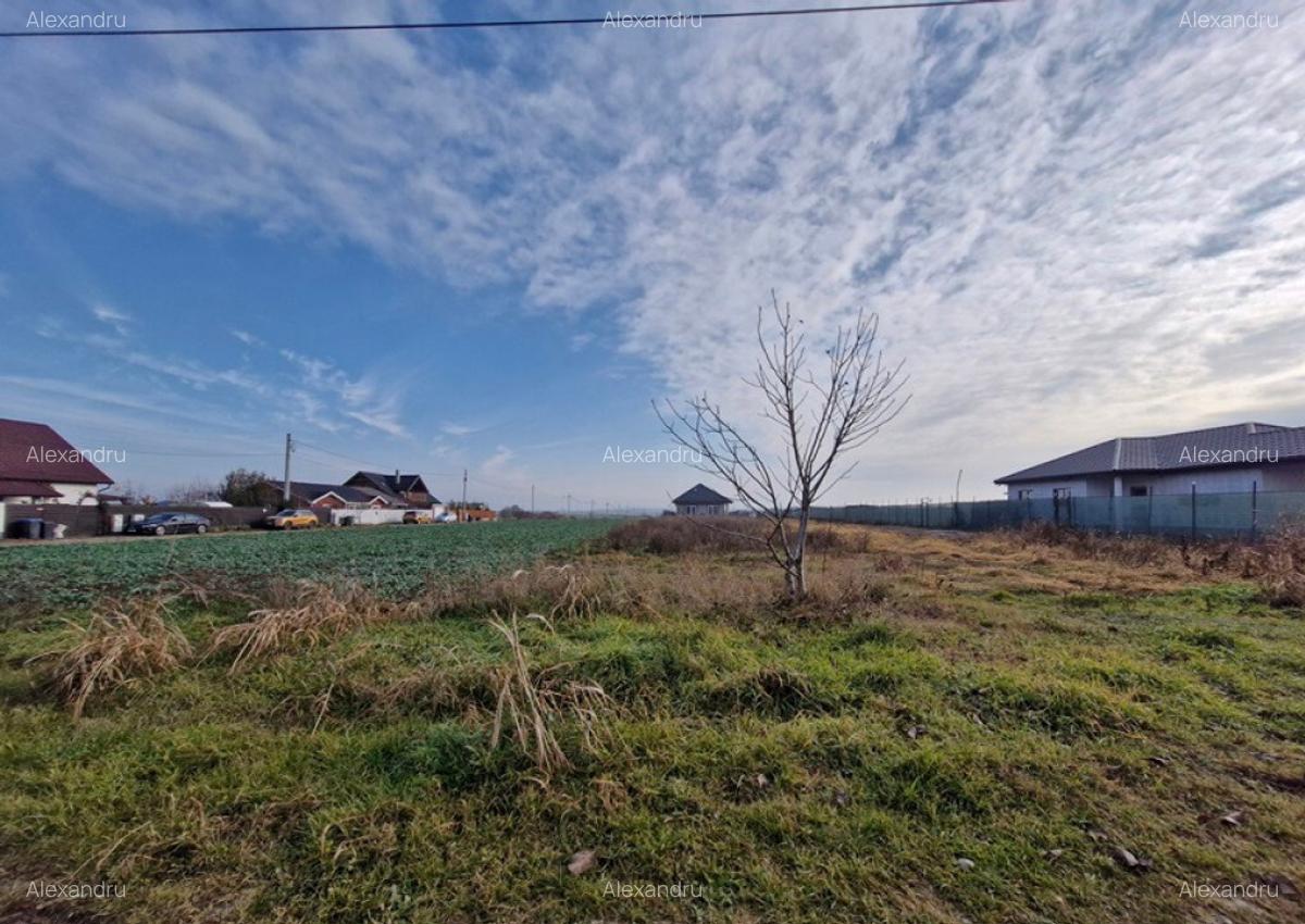 Teren langa case cu utilitati, lac la 300 metri, 700 mp - 7