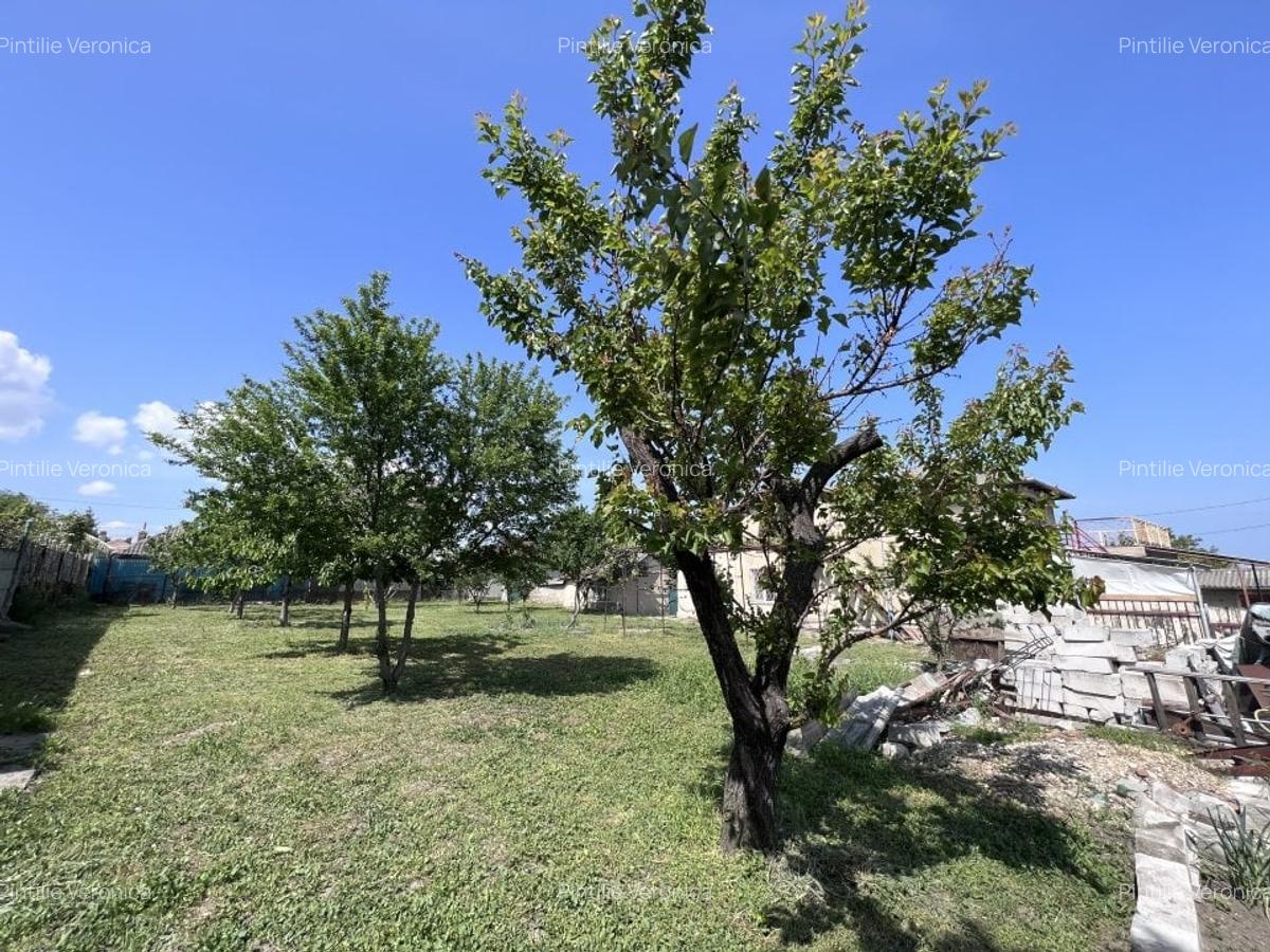 Teren 3500 mp Str Delfinului Foarte Aproape De Lacul Sutghiol - 38