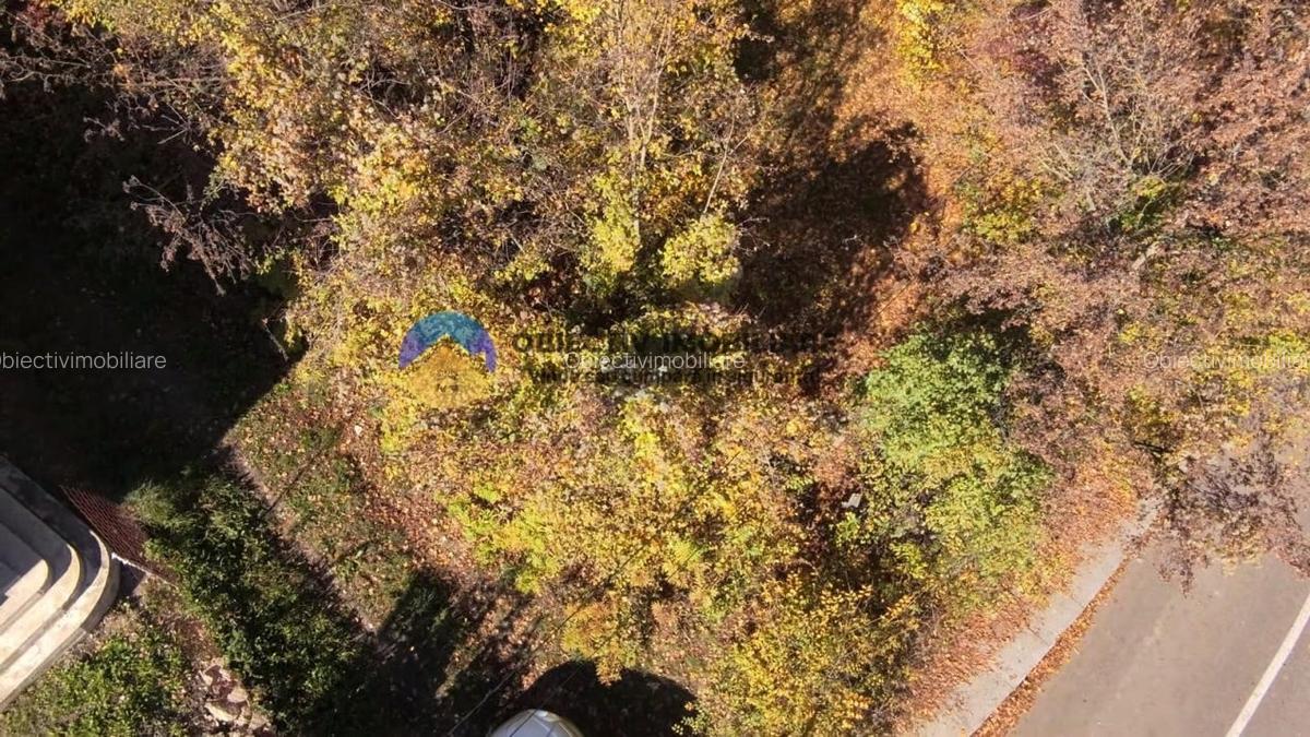 Teren intravilan de vanzare - Piatra Neamt - 15