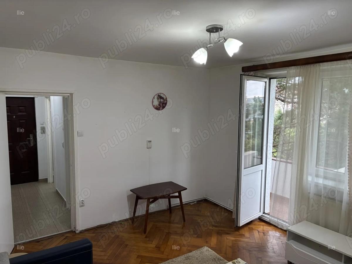 Apartament ingrijit cu Brazi la balcon - 3