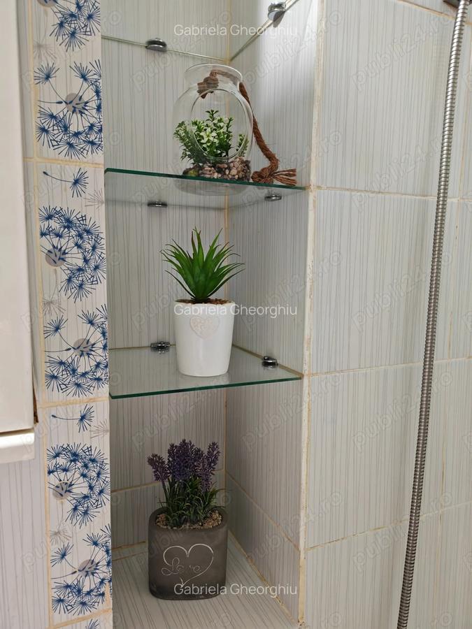 Cozy Blue Home Manastur isi cauta chirias - 5